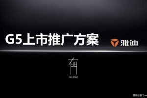 雅迪电动车G5-2018上市推广方案（PDF）