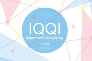 宜栖孕产内衣2018社会化营销方案（PDF）