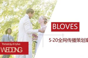 珠宝品牌BLOVES·520情人节线上传播策略方案（PPT）
