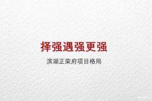 正荣地产·合肥正荣府2018整合营销提报（PDF）