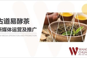 英山古道易酵茶2018年新媒体运营及推广方案（PPT）