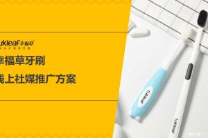幸福草牙刷2018线上社交媒体推广方案（PPT）