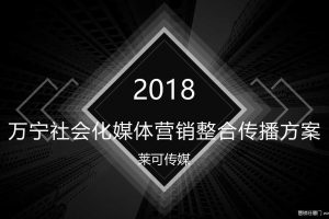 万宁2018社会化媒体营销整合传播方案（PPT）