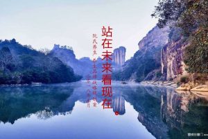 阮式养生2018养生品牌战略规划方案（PPT)