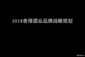 舍得酒业2018品牌战略规划策划方案（PPT）