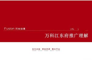 万科(芜湖)江东府2018推广方案（PPT）