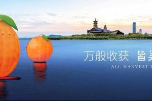 万科运河传奇2018橙意季IP传播方案（PPT）