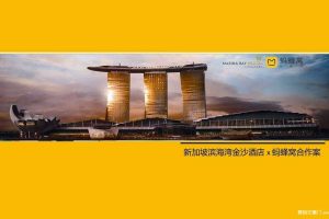 新加坡金沙酒店 x 蚂蜂窝2018年度合作规划方案（PPT）