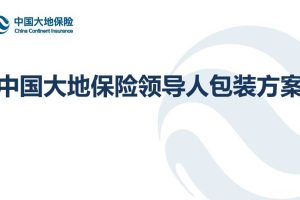 中国大地保险领导人包装方案（PPT)