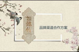 《如懿传》品牌渠道合作方案（PDF）