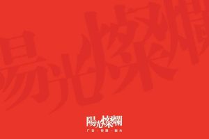 太原远大购物广场2018整合推广竞标方案-北京阳光灿烂广告（PDF）