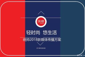 统帅2018品牌自媒体运营方案-秀米（PDF）