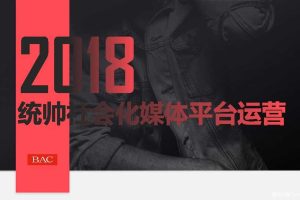 统帅2018社会化媒体平台运营方案（PDF）