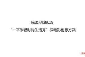 统帅品牌2018.9.19“一平米轻时尚生活秀”微电影创意方案（PDF)