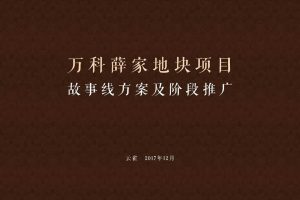 万科翰林甲弟故事线及2018年第一季度推广方案（PDF)