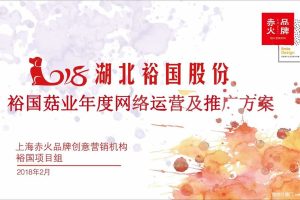 裕国菇业2018年度网络运营及推广方案（PDF)