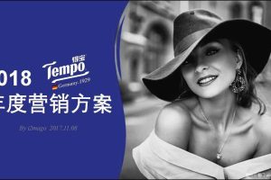 Tempo得宝2018年度营销方案（PDF）