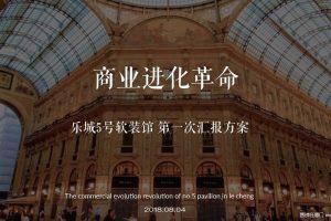 乐城家居城2018项目策略竞标方案（PDF)