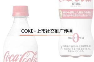 可口可乐2018年白可乐上市社交推广传播方案（PPT）