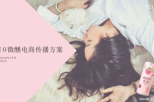RIO微醺2018电商传播方案（PPT）