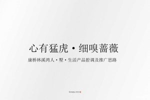 康桥林溪湾人·墅·生活产品腔调及推广方案（PPT）