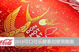 可口可乐酵素2018创意策略方案（PPT）