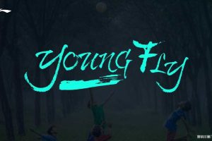 李宁YOUNG-2018年数字营销解决方案（PPT）