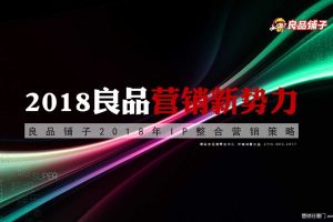 良品铺子 x 爱奇艺2018IP整合营销策略方案（PPT）