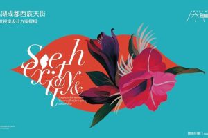 龙湖成都西宸天街2018年视觉设计提报方案（PPT)