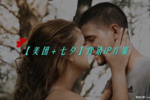 美团2018七夕传播战役方案（PPT)