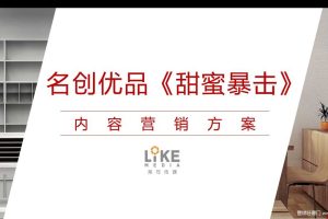 名创优品x《甜蜜暴击》内容营销方案（PPT）