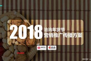 洽洽2018年货节方案（PPT）