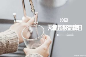 沁园2018天猫超级品牌日营销方案（PPT）