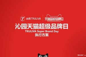 沁园2018天猫超品日营销执行细化方案（PPT）