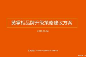 黄掌柜2018品牌升级传播策略方案（PPT）