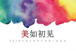 华润海南石梅湾项目2018年度推广提报方案（PPT）