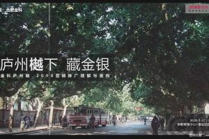 金科庐州樾2018整合推广策略提报方案（PPT）