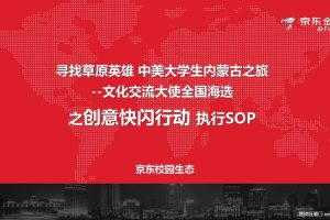 京东金融2018寻找草原英雄之创意快闪行动执行SOP（PPT）