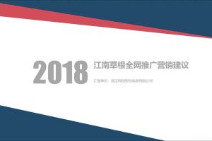 江南草根·草本饮品2018网络营销推广方案（PDF）