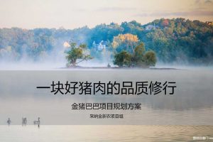 金猪巴巴2018”一块好猪肉的品质修行“项目规划方案（PDF）