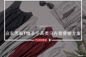 京东2018男装T恤杀手品类日内容营销方案（PDF）