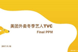 美团外卖2017冬季艺人TVC Final PPM（PDF）