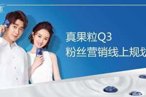 蒙牛真果粒2018粉丝营销线上规划方案（PDF）