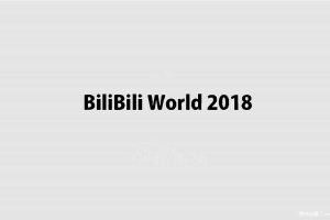 B站-BiliBili World 2018 活动案例（PDF）