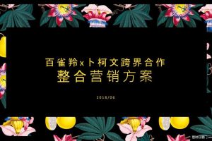 百雀羚 x 卜柯文2018跨界合作整合营销方案（PDF）
