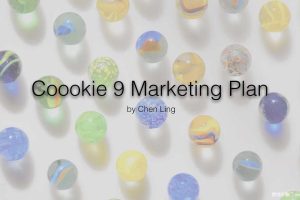 饼干品牌Coookie9-2018年市场营销方案（PDF）