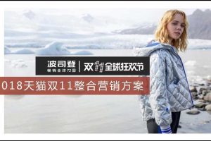 波司登2018天猫双十一整合营销方案（PDF）