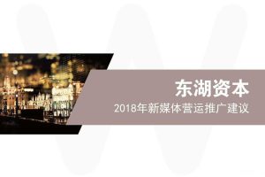 东湖资本2018新媒体运营推广建议方案（PDF）