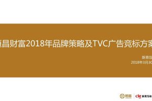恒昌财富2018年品牌策略及TVC广告竞标方案（PDF）