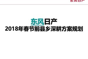 东风日产2018年春节前县乡深耕规划方案（PPT）